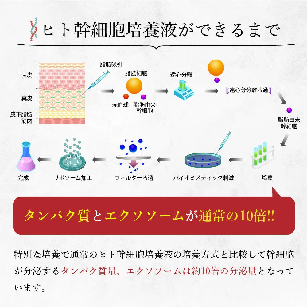 【KYOGOKU ★豪華特典付き】シグネチャーシャンプー＋シグネチャートリートメント　※2/26〜3/4頃より順次発送