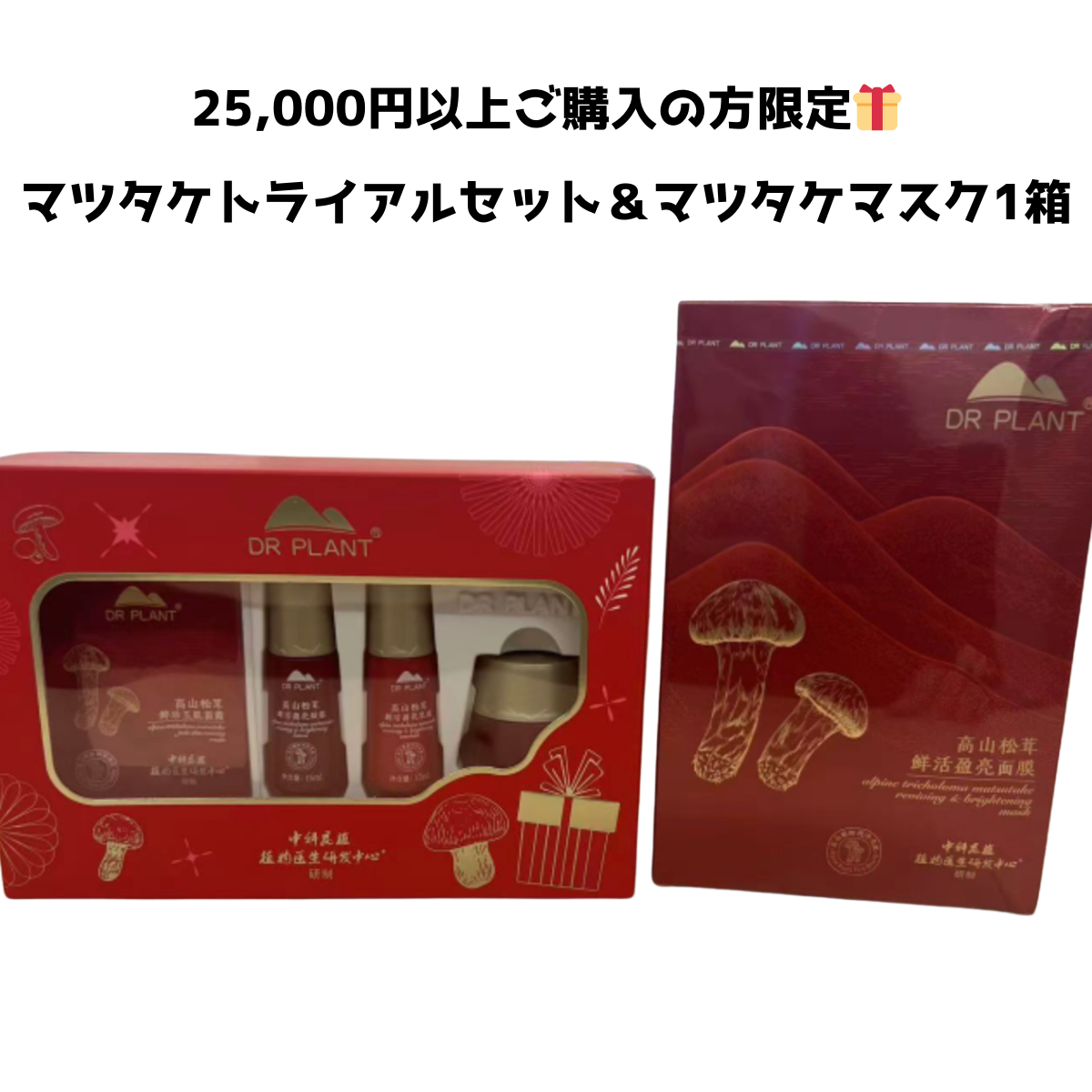 【DR PLANT ノベルティ】25,000円以上ご購入の方限定🎁　マツタケトライアルセット＆マツタケマスク1箱　※5/21〜5/27頃より順次メーカーから発送